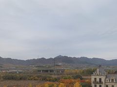 -北京张裕爱斐堡酒庄