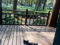 -上海怡沁园度假酒店