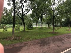 -艾溪湖湿地公园