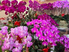 -花屿鲜花(淡水店)