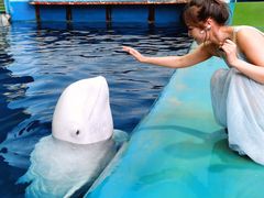 -福州罗源湾海洋世界旅游区