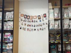 -瑞派康怡24h宠物医院·犬猫医疗中心·微创绝育(瑞景分院)