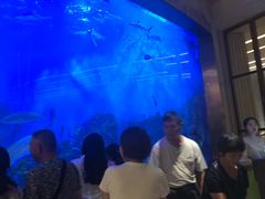-艺厨风尚餐厅 · 桔钓沙莱华度假酒店