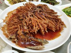 金毛狮子鱼-石饮红星包子(中山路店)