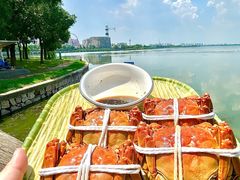 -蟹天蟹地农家菜·阳澄湖大闸蟹(浅水湾店)