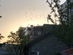 -回龙窝历史文化街区