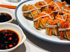 -杨氏青龙虾·羊蝎子(托乐嘉店)
