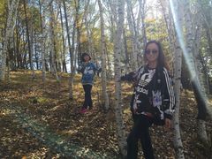 -塞罕坝国家级自然保护区