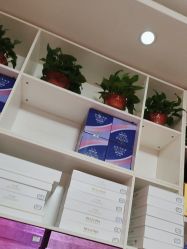 -香薇妮丝·定制减肥·身材管理