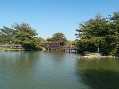 -海珠湖公园