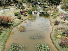 -东莞植物园