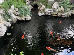 -鲤院·新中式美学·庭院餐厅(夫子庙店)