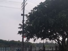 -观澜湖华谊冯小刚电影公社(百年记忆公社)