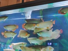 -弘安丽水温泉酒店