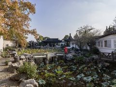 -八大山人梅湖景区