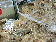 -旺角小渔村(幸福中路店)