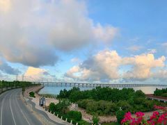 -宝安西湾红树林湿地公园