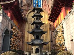 -上海东林寺(金山区)