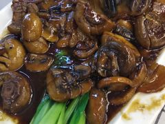 -梁溪河畔·吉府花园(南长街南下塘店)