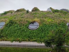 -上海吴淞炮台湾国家湿地公园