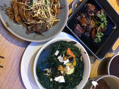 -美食小镇·观赏珍稀鸟类·长隆熊猫酒店