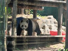 -大连森林动物园