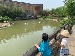 -田园东方蜜桃村的田野营地