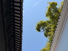 -绮园景区
