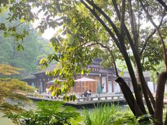 -杭州植物园