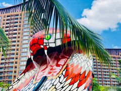 -亚马逊丛林水乐园