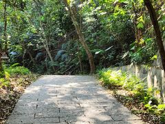 -梧桐山风景名胜区