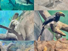 -福州罗源湾海洋世界旅游区