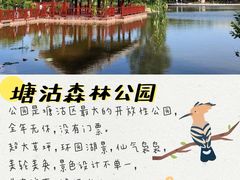 -塘沽森林公园