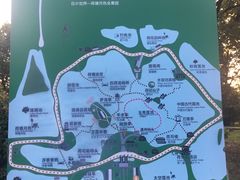 -荷塘月色湿地公园·向阳花洲