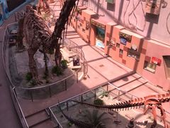 -陕西自然博物馆