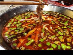 -味之绝热血美蛙鱼火锅(中坝店)