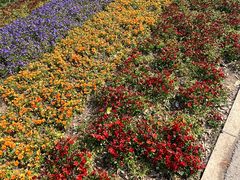 -上海浦江郊野公园-3号停车场