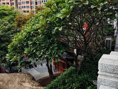 -鸿山公园