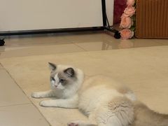 -猫遇摄影工作室