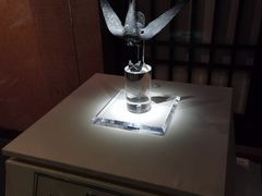 -南越王博物院(王宫展区)