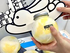 -白色日记·手作酸奶(麦凯乐店)