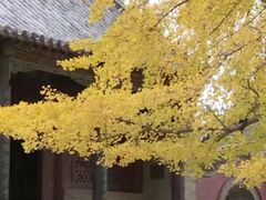 -浮来山风景区