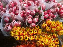 -循礼门鲜花花市(武汉循礼门店)