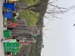 -双新垂钓园