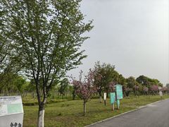 -嘉北郊野公园