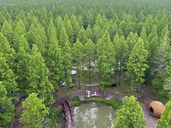 -黄海国家森林公园