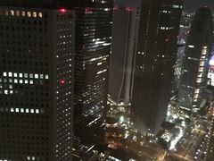 -东京都厅舍