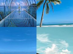 -亚龙湾热带天堂森林公园
