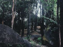 -火炉山森林公园