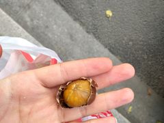 -阿男野栗王(金门路店)